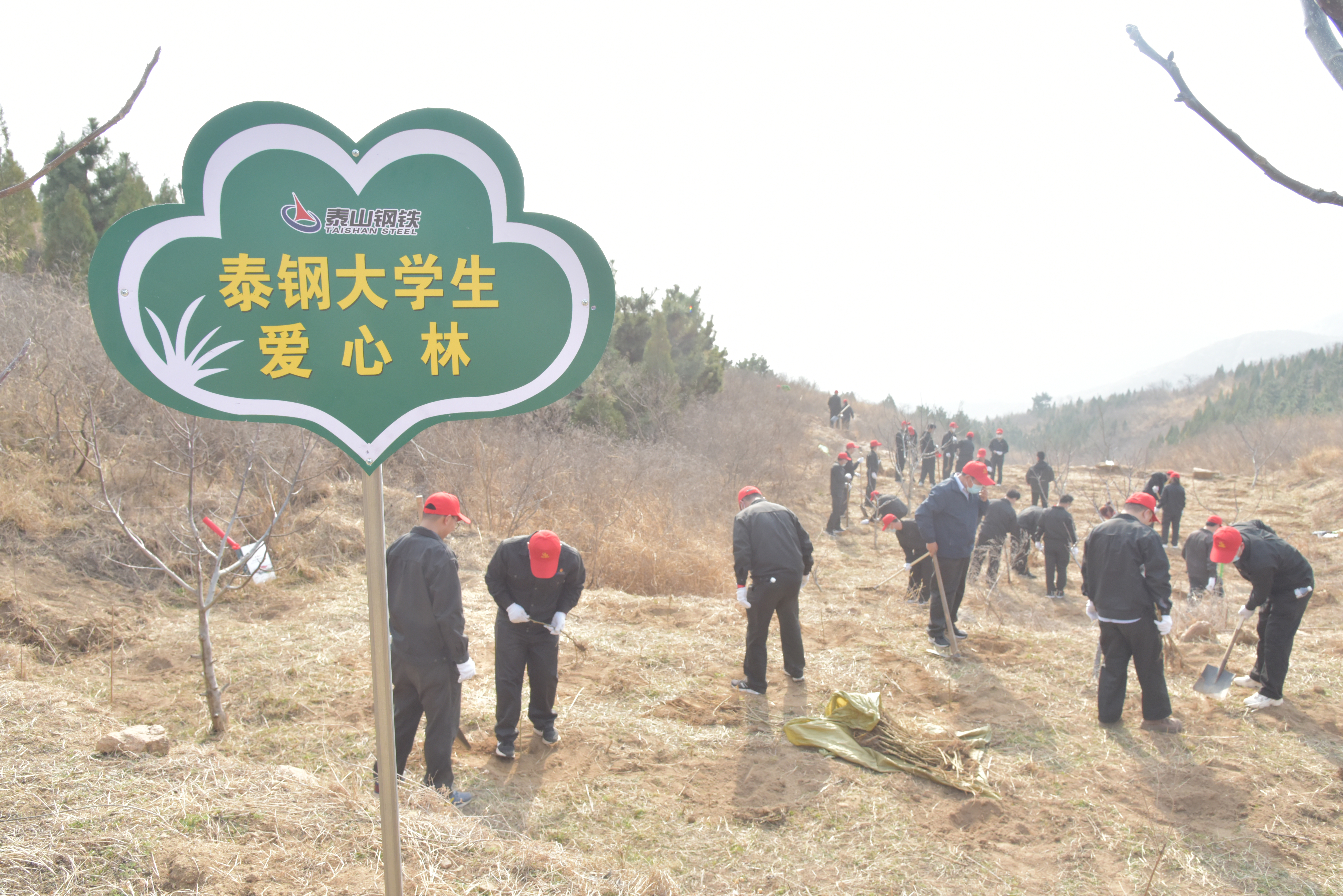 众博（中国）大学生植爱心林